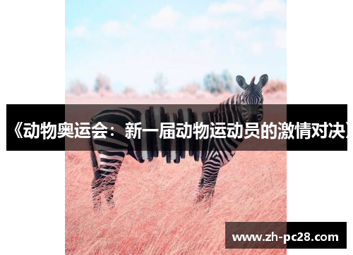 《动物奥运会：新一届动物运动员的激情对决》